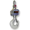 9300HT RF Dijital Vinç Kantarı 
